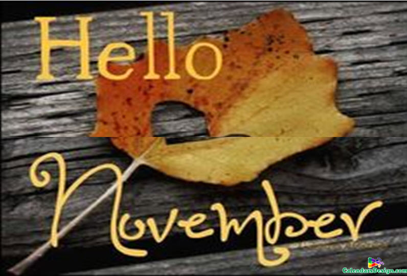 Hello November Pictures