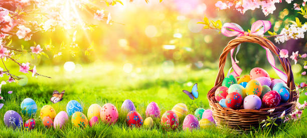 Easter Bunny Pictures to Share Everyone